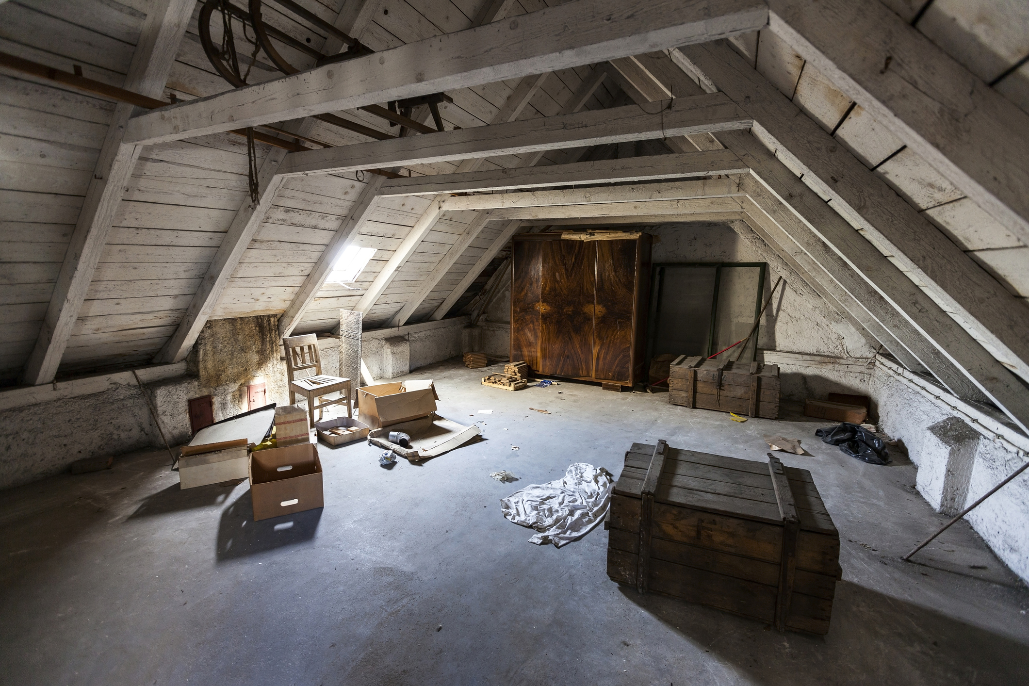 Do You Know What’s In Your Attic?